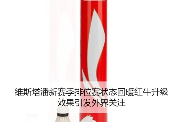 维斯塔潘新赛季排位赛状态回暖红牛升级效果引发外界关注（HuoHuSPORTS）