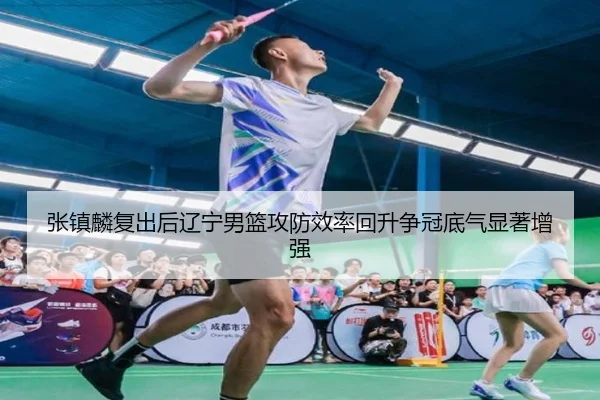 张镇麟复出后辽宁男篮攻防效率回升争冠底气显著增强（HuoHuSPORTS）